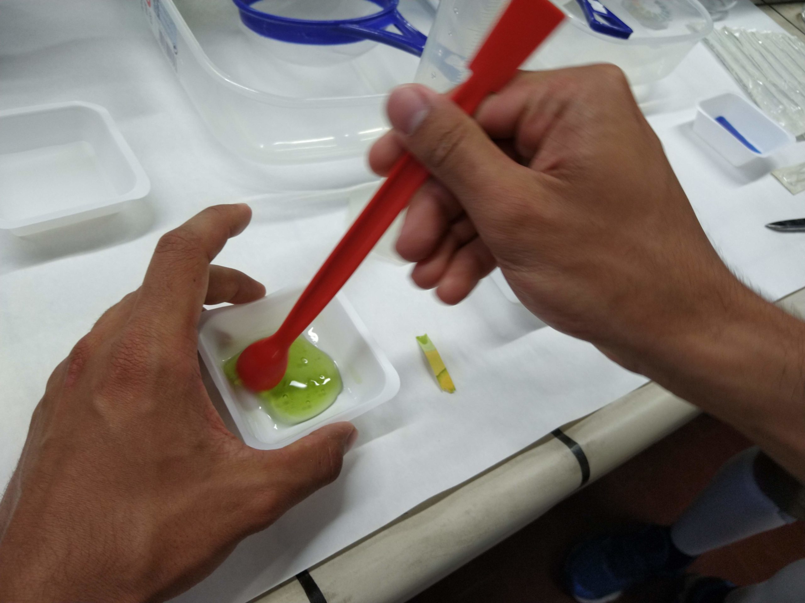 MVIMG_20190717_162728110