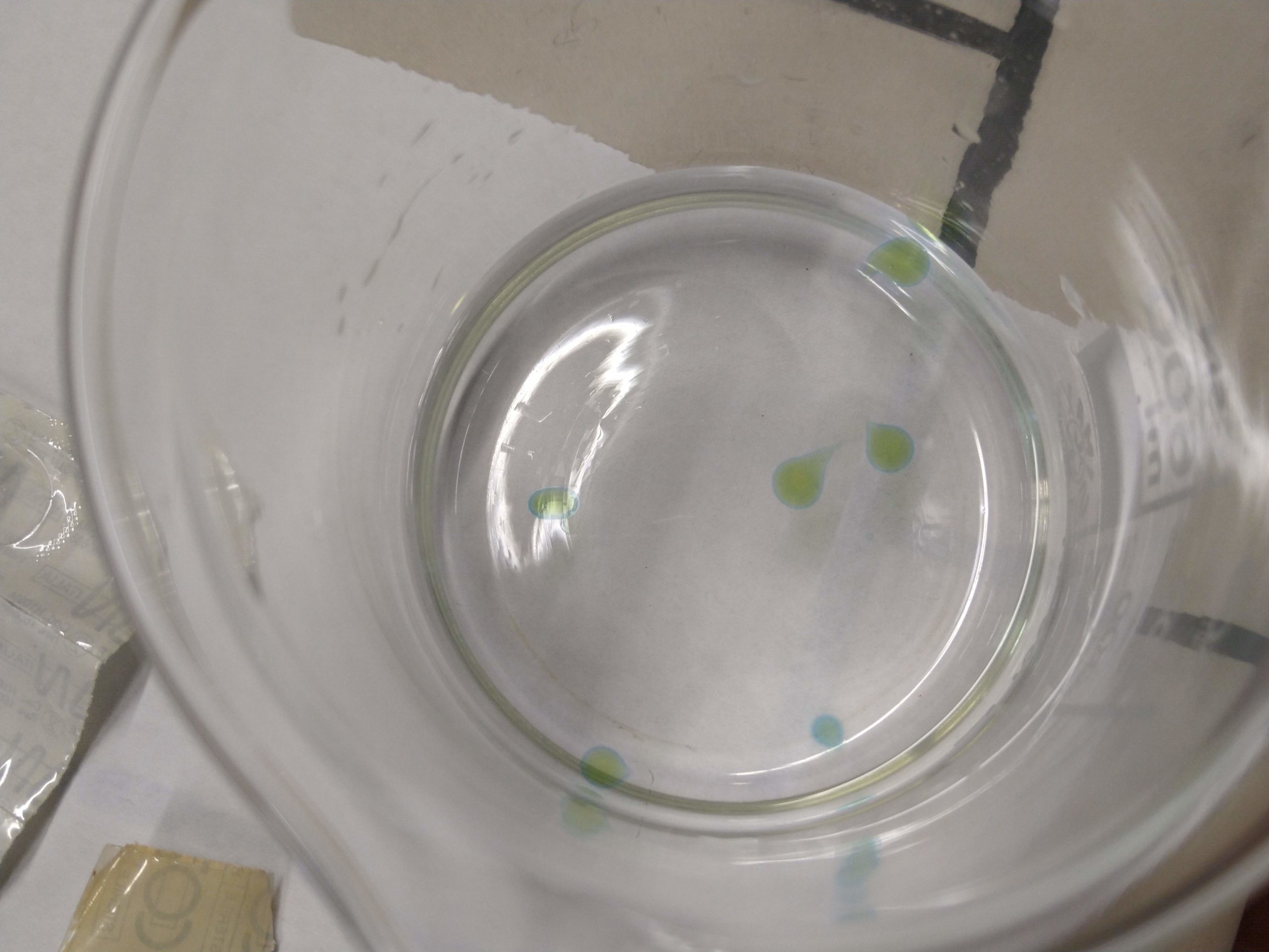 MVIMG_20190717_163950154