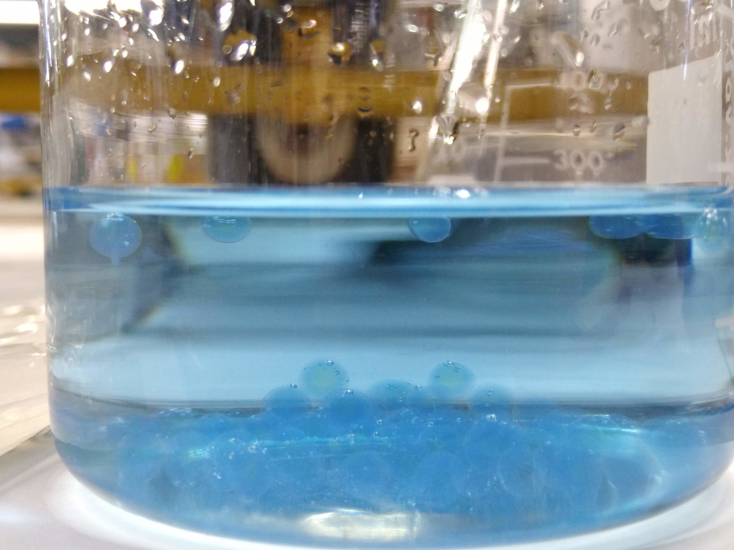 MVIMG_20190717_171615628