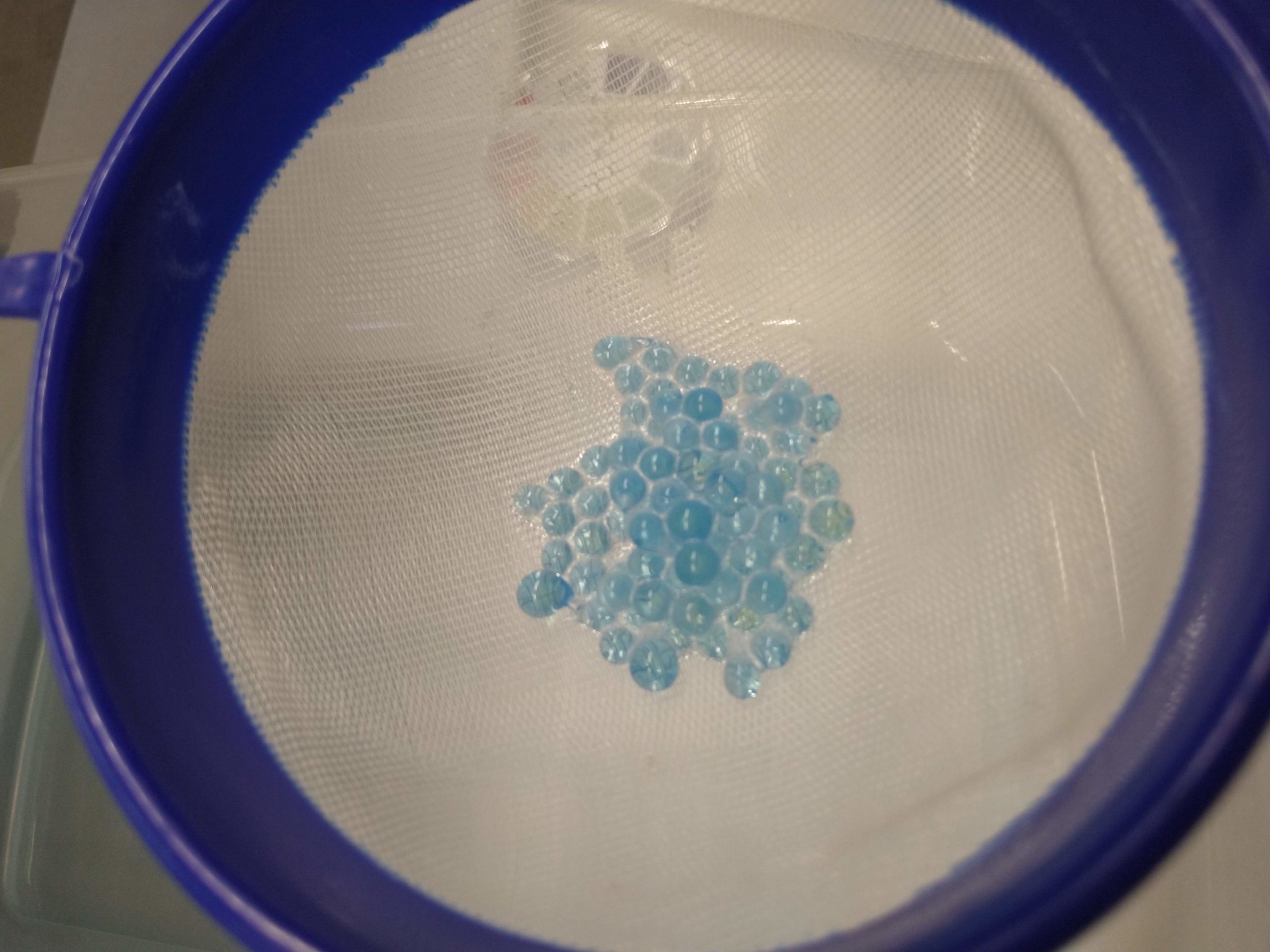 MVIMG_20190717_172327871