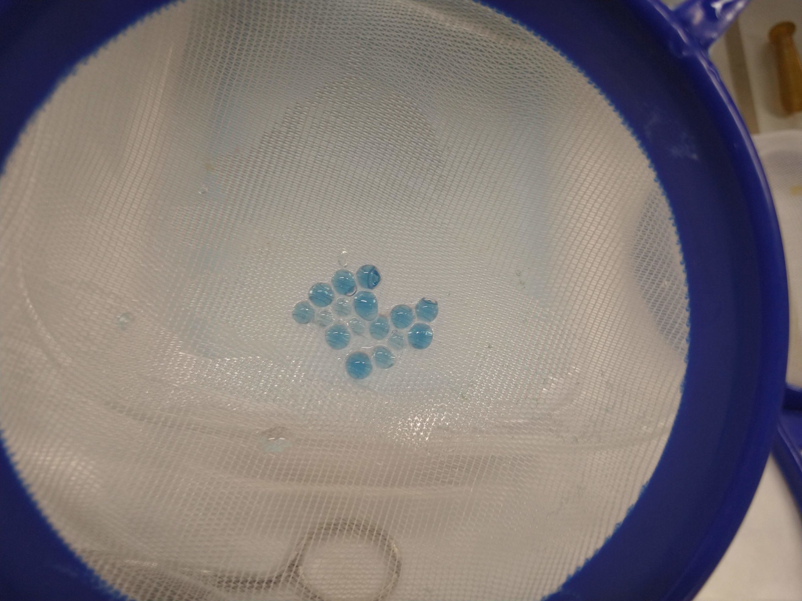 MVIMG_20190724_165335270