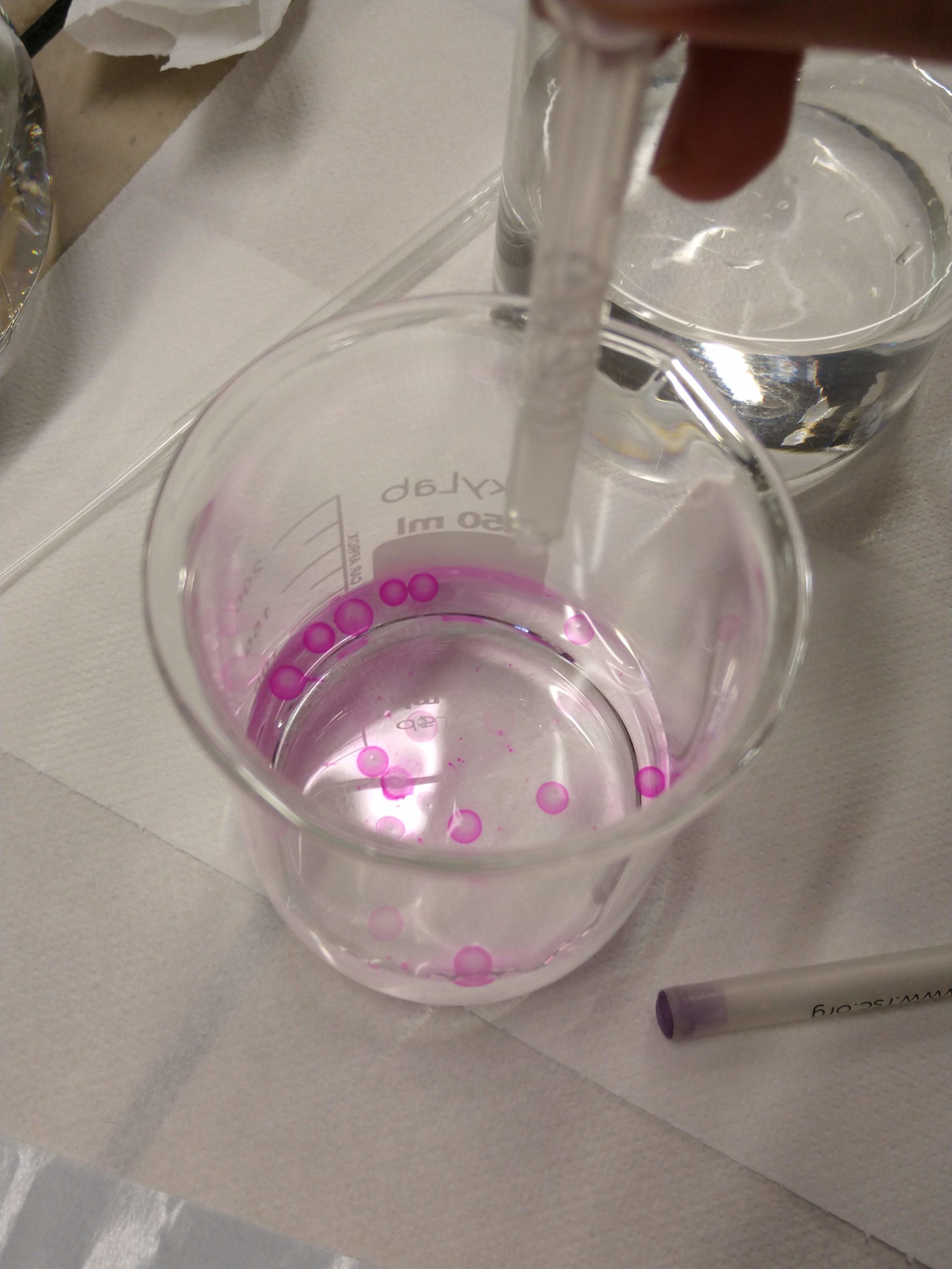 MVIMG_20190729_170838505