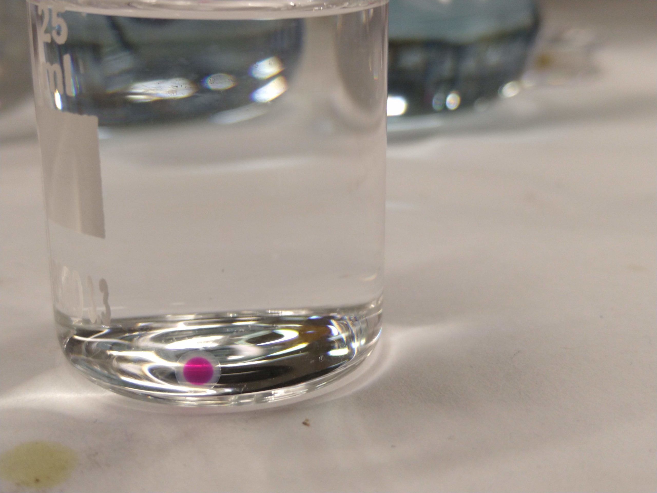 MVIMG_20190730_105011946